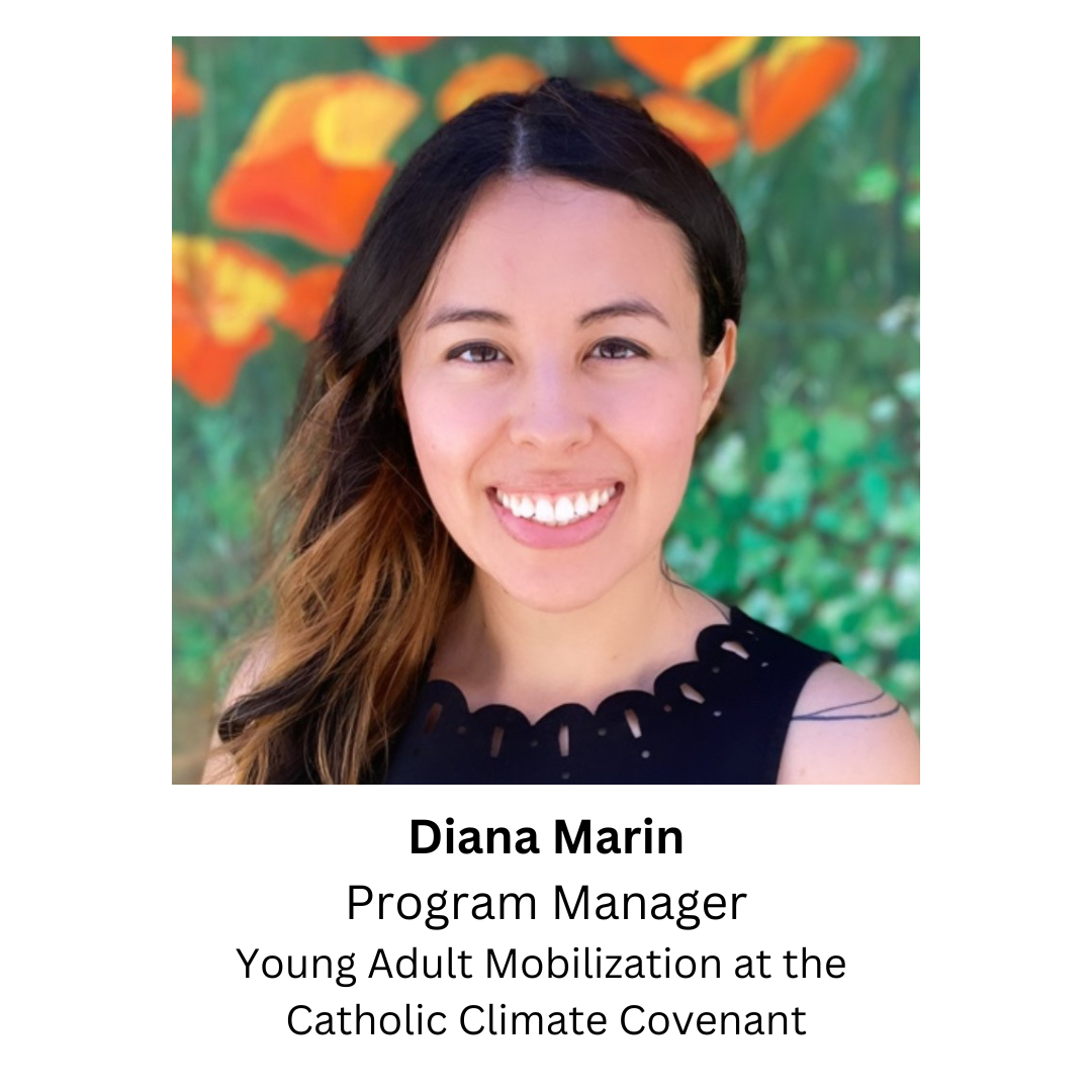 Diana Marin Profile final